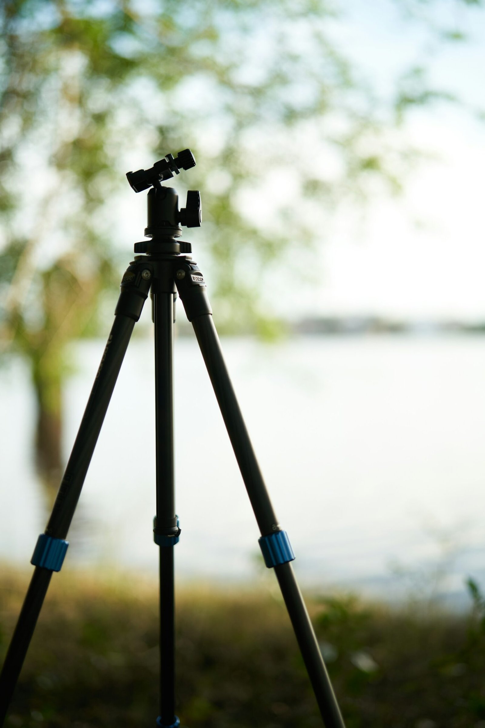 camera on a tripod in nature